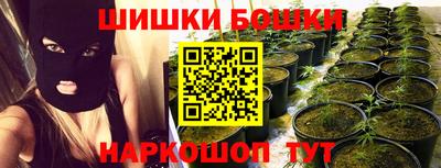 крисы Будённовск