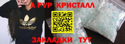 крисы Будённовск