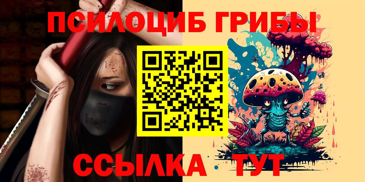 Котельники  где купить наркоту  Псилоцибиновые грибы прущие грибы  Вход с VPN  Галлюциногенные грибы мухоморы 