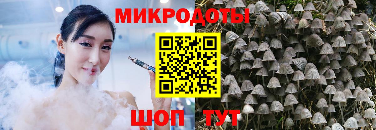 Псилоцибиновые грибы MAGIC MUSHROOMS Котельники